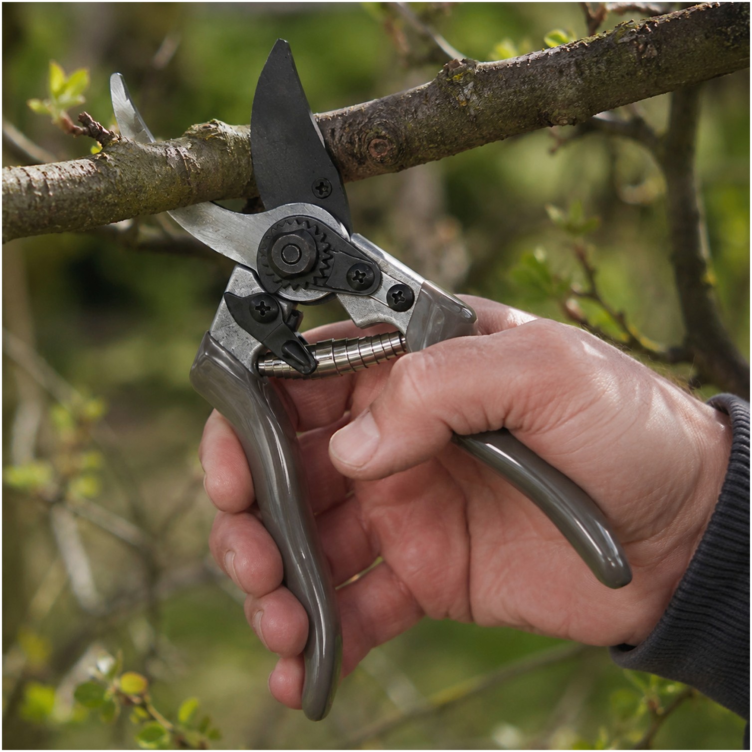 Tijeras Podar KS-8T 215mm.1 Mano