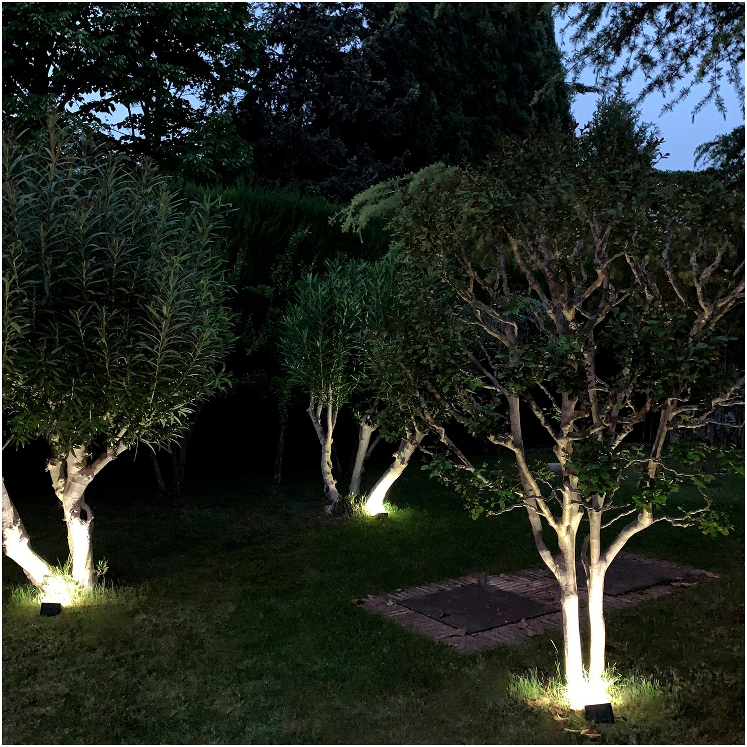 Aplique Solar Led Con Sensor De Luz y De Movimiento 270 Lumenes Ip4x Foco Led A Bateria, Foco Solar.