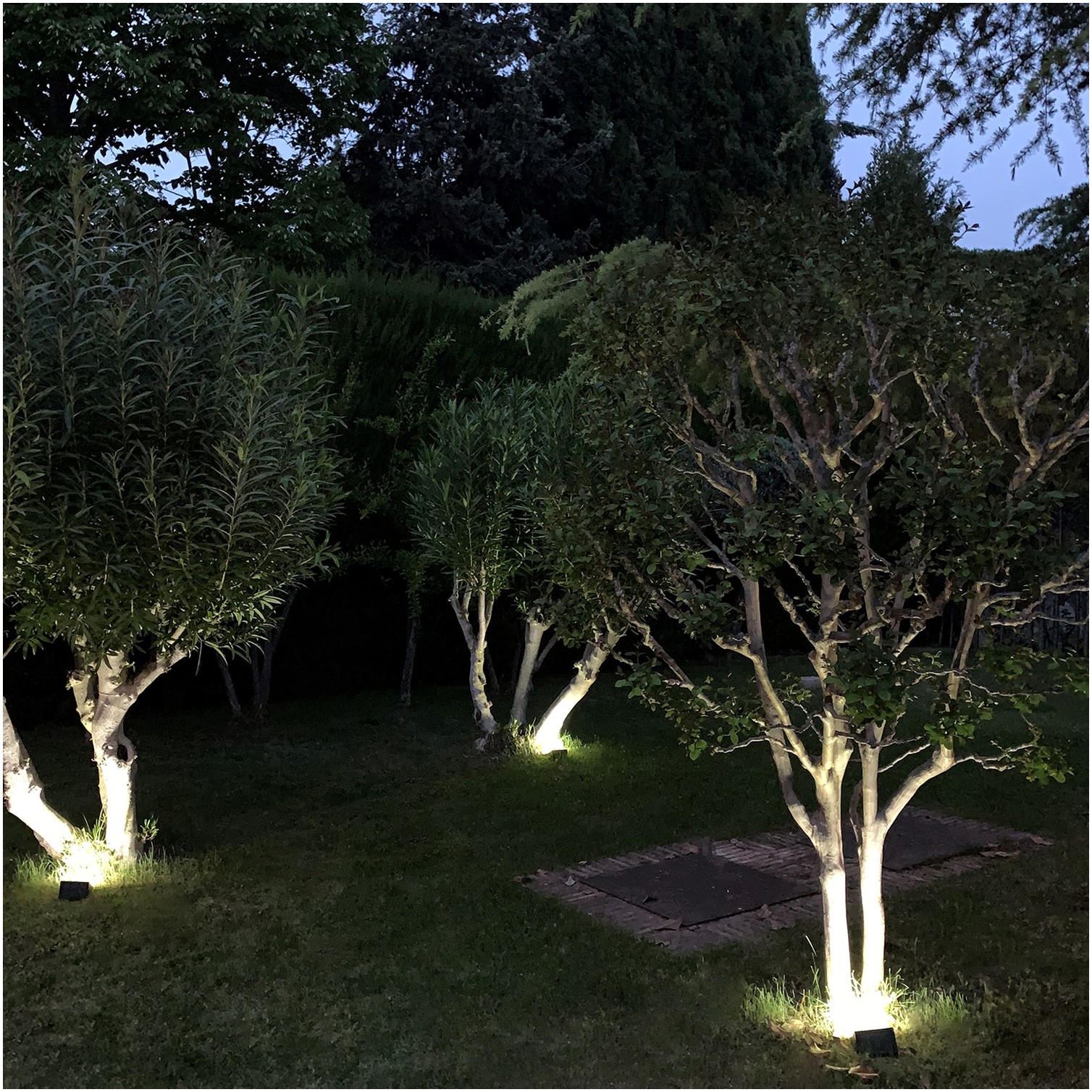 Aplique Solar Led 250 Lumenes Con Sensor De Movimiento y Crepuscular IP65
