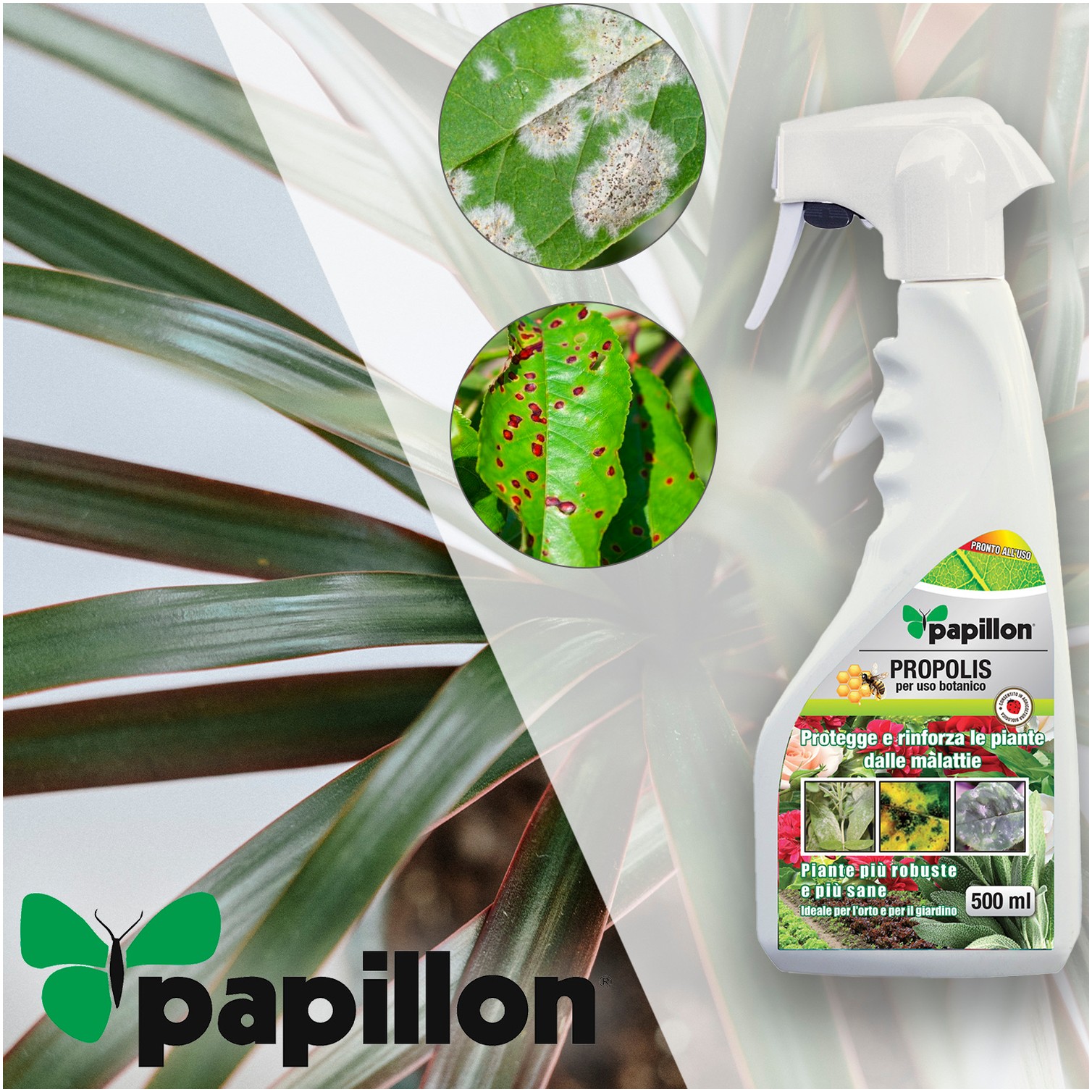 Propoleo Para Hongos y Bacterias 500 ml. Propolis, Fungicida Ecologico, Propoleo de abeja, (Permitido en agricultura ecologica)