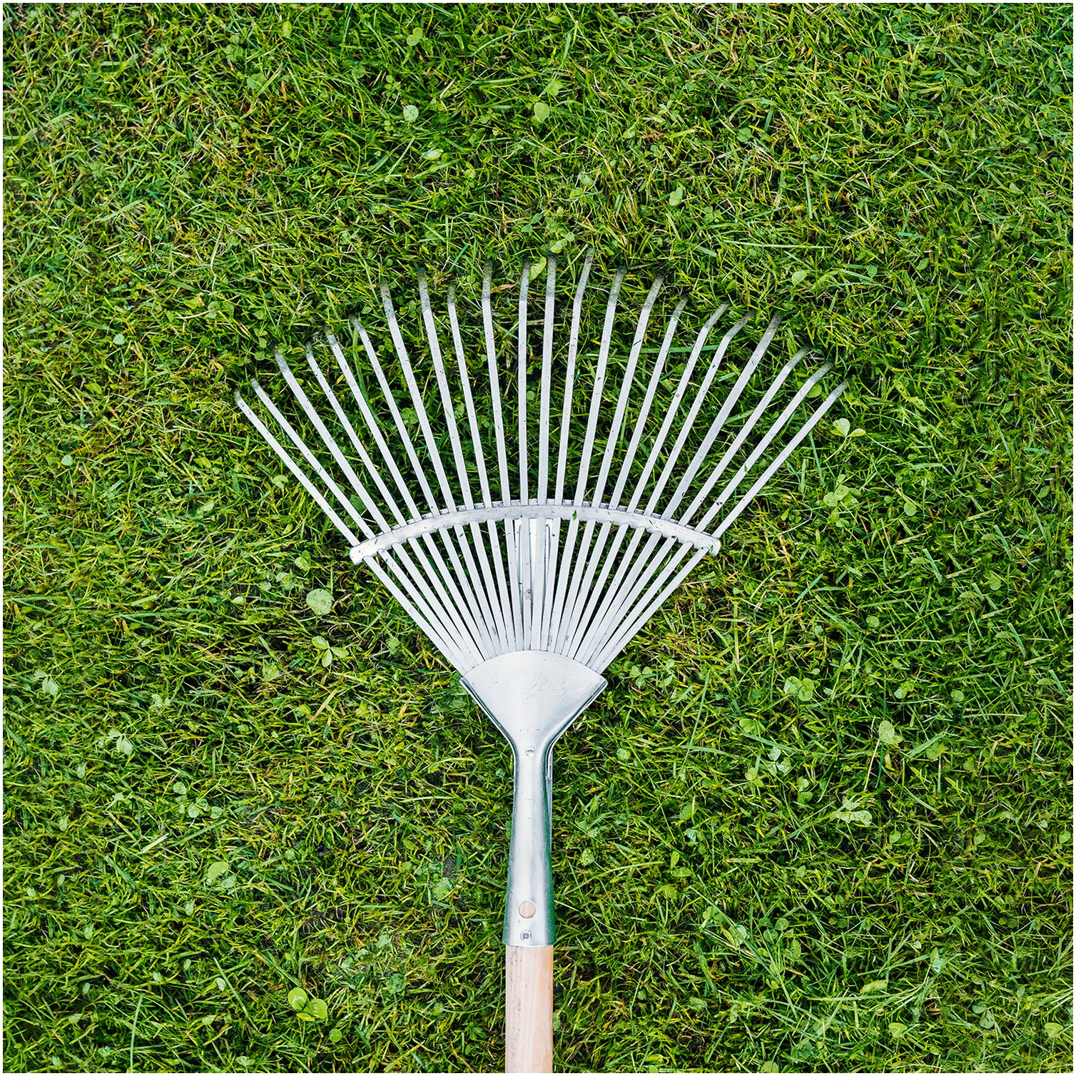 Rastrillo Metalico Para Jardin Ancho Regulable 31,5 A 43,5 cm. rastrillo Hojas, Cepillo Jardin, Escoba Metalica, Escoba Jardin