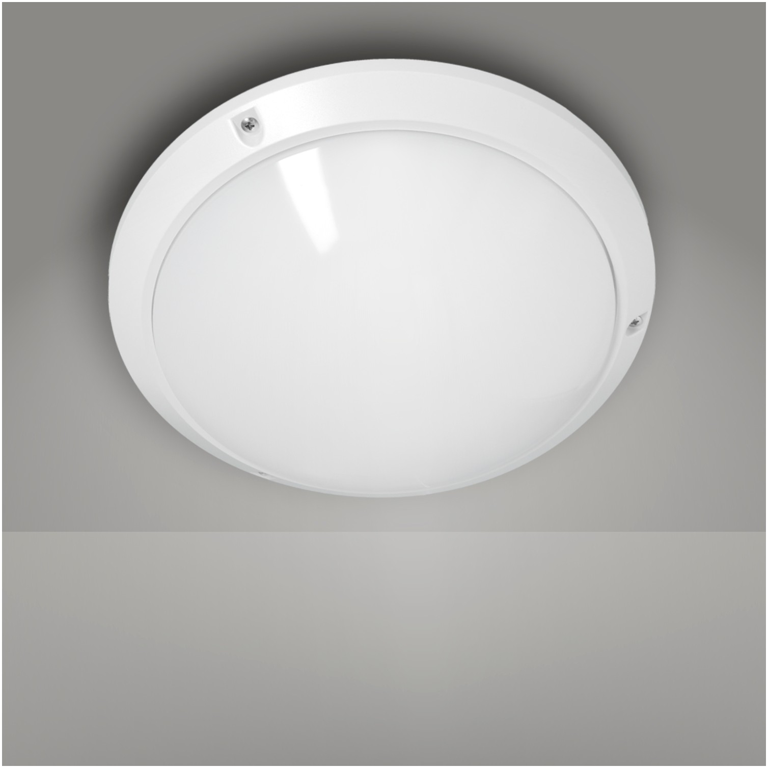 Lampara Plafon Interiores / Exteriores IP45 Portalamparas E27 Ø 27 x 9,5 cm.
