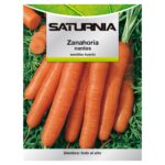Semillas Zanahoria Nantes Temprana (7 Gramos). Semillas Verduras, Horticultura, Horticola, Semillas Huerto.