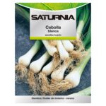 Semillas Cebolla Blanca (4 gramos) Semillas Verduras, Horticultura, Horticola, Semillas Huerto.