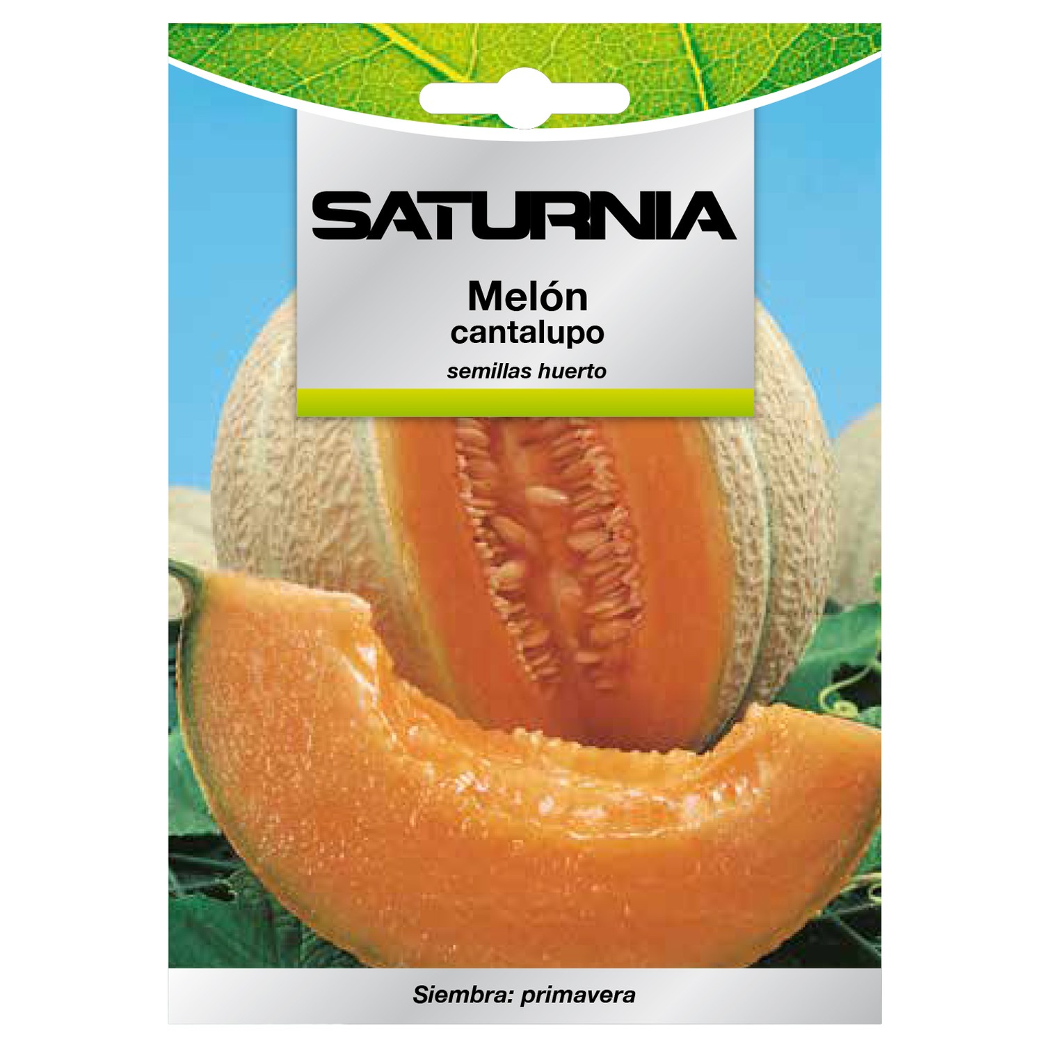 Semillas Melon Cantalupo (3 gramos) Semillas Frutas, Horticultura, Horticola, Semillas Huerto.