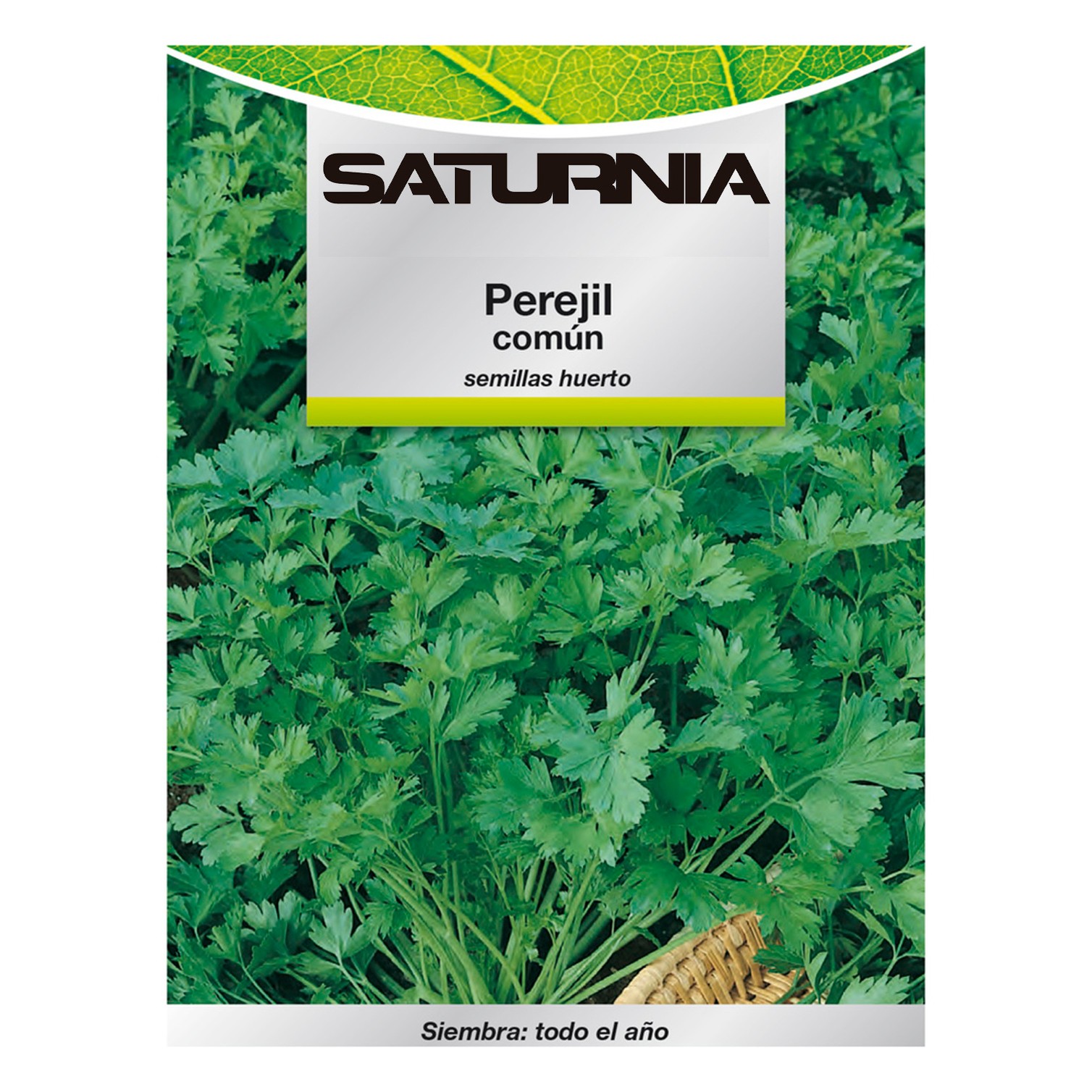 Semillas Perejil Comun (8 gramos) Semillas Verduras, Horticultura, Horticola, Semillas Huerto.