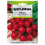 Semillas Rabano Rojo Temprano (8 gramos) Semillas Verduras, Horticultura, Horticola, Semillas Huerto.
