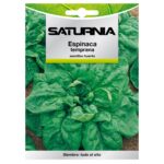 Semillas Espinaca Temprana (8 gramos) Semillas Verduras, Horticultura, Horticola, Semillas Huerto.