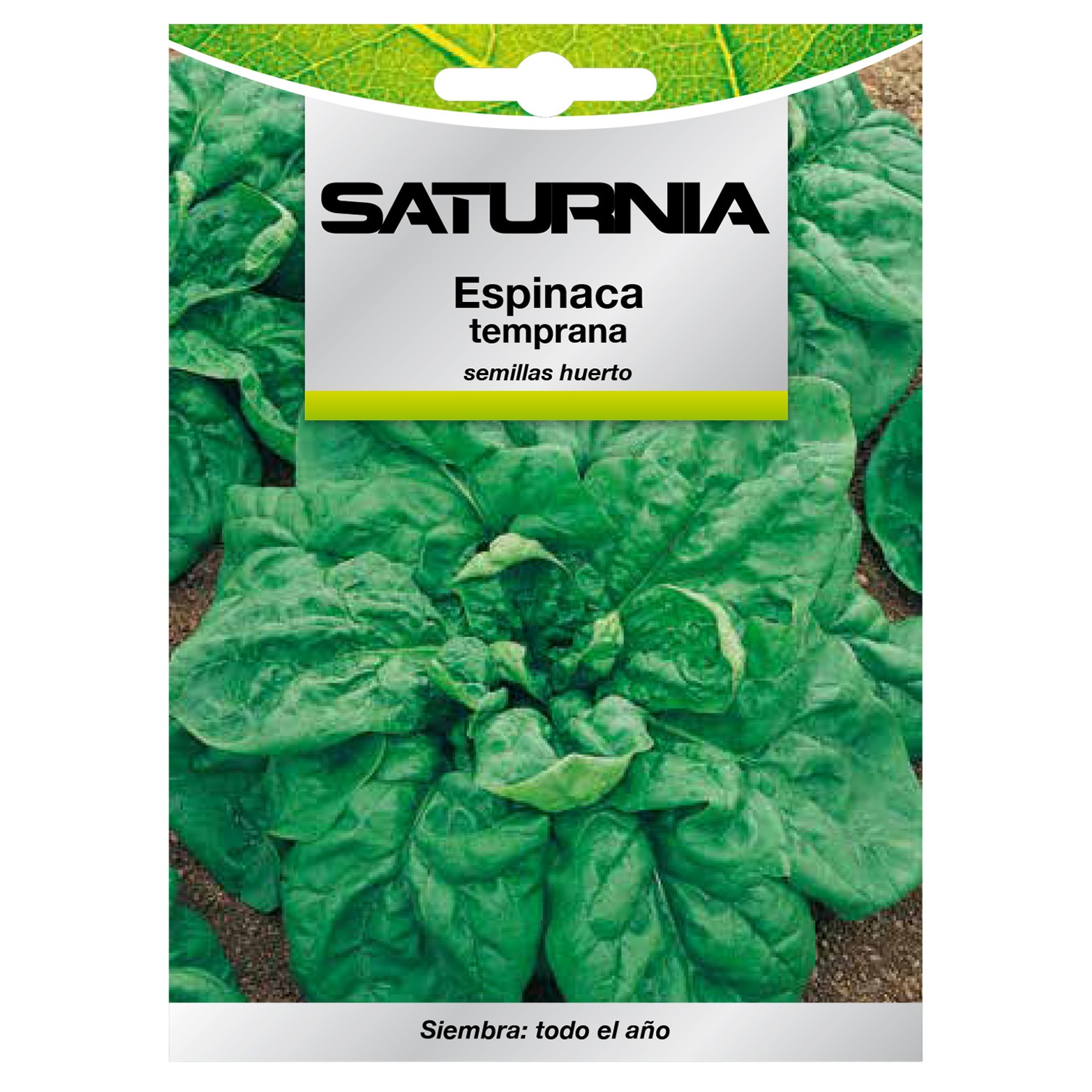 Semillas Espinaca Temprana (8 gramos) Semillas Verduras, Horticultura, Horticola, Semillas Huerto.
