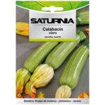 Semillas Calabacin Claro (5 gramos) Semillas Verduras, Horticultura, Horticola, Semillas Huerto.