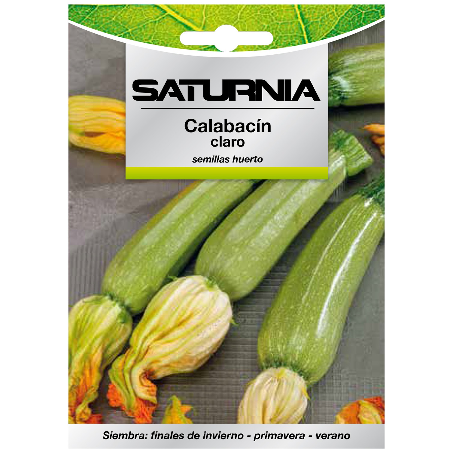Semillas Calabacin Claro (5 gramos) Semillas Verduras, Horticultura, Horticola, Semillas Huerto.