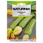 Semillas Calabacin Verde Oscuro (5 gramos) Semillas Verduras, Horticultura, Horticola, Semillas Huerto.