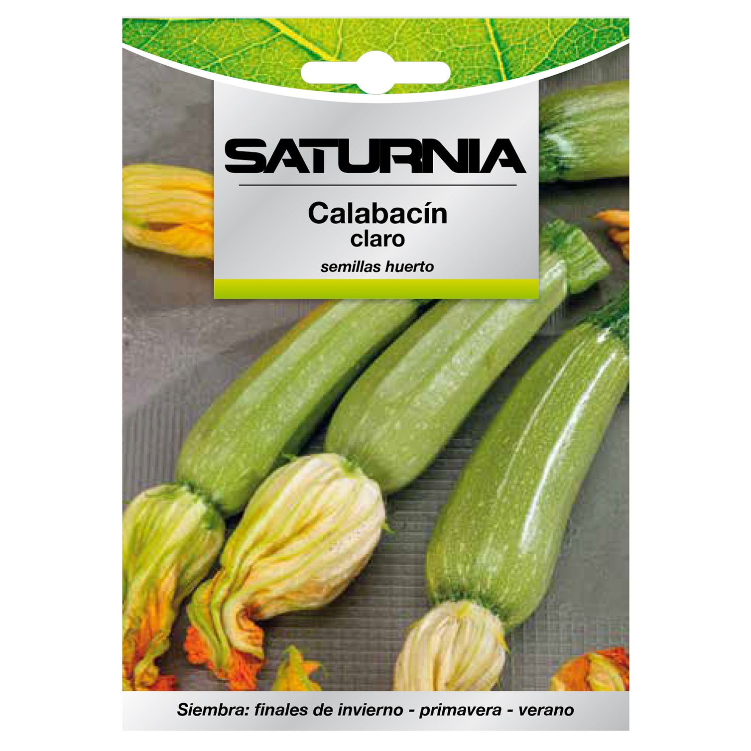 Semillas Calabacin Verde Oscuro (5 gramos) Semillas Verduras, Horticultura, Horticola, Semillas Huerto.