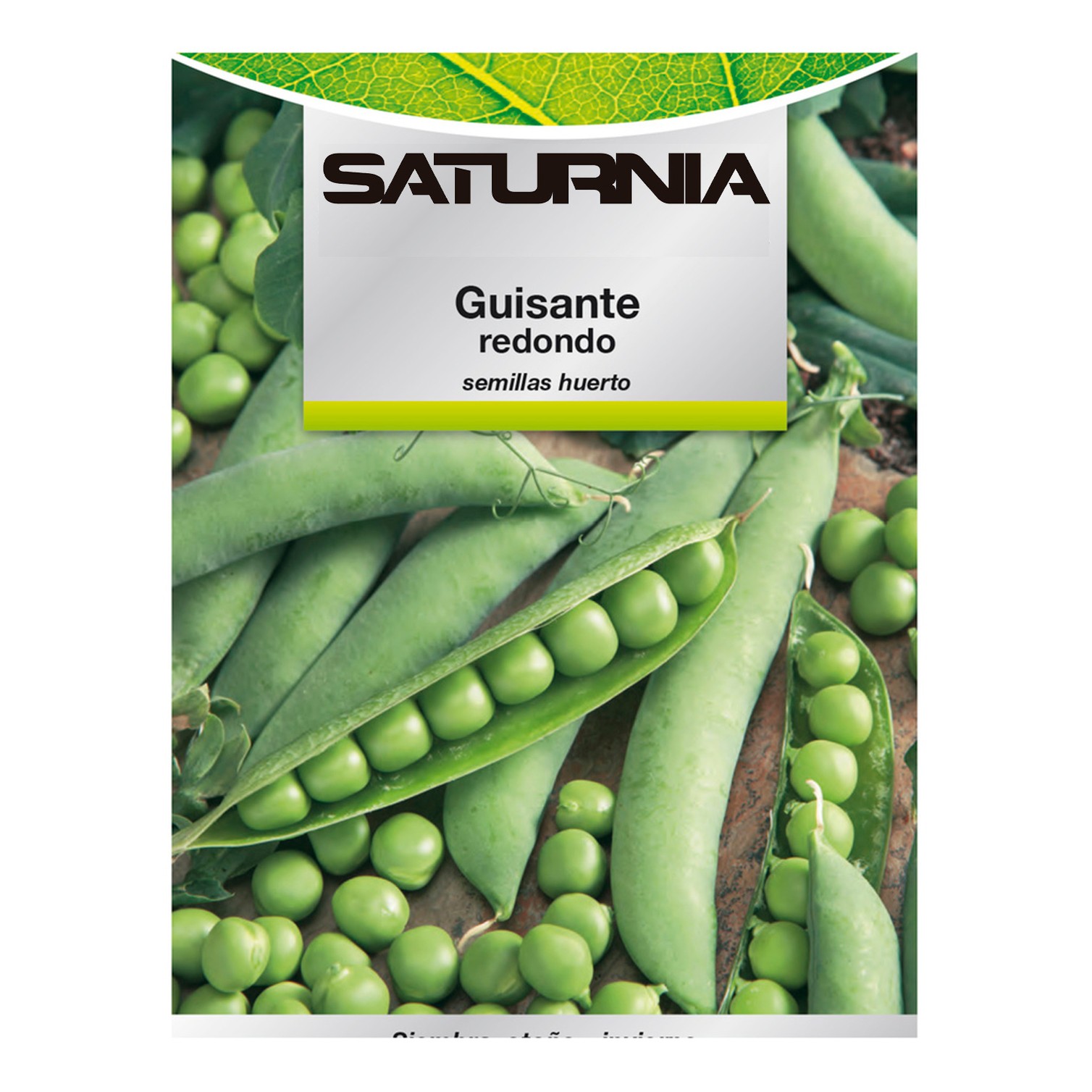Semillas Huerto Guisantes