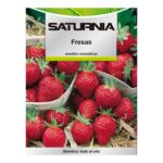 Semillas Huerto Fresas