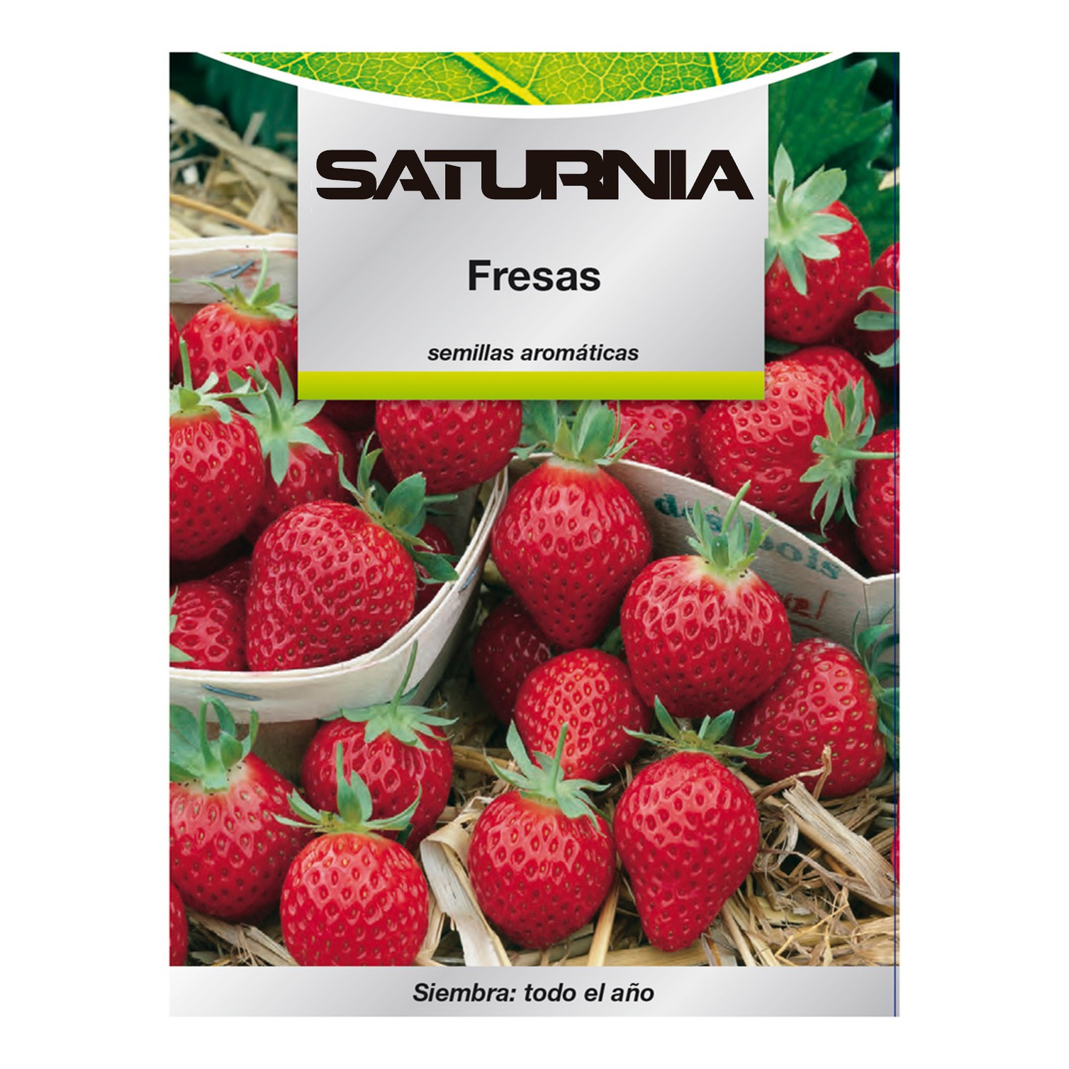 Semillas Huerto Fresas