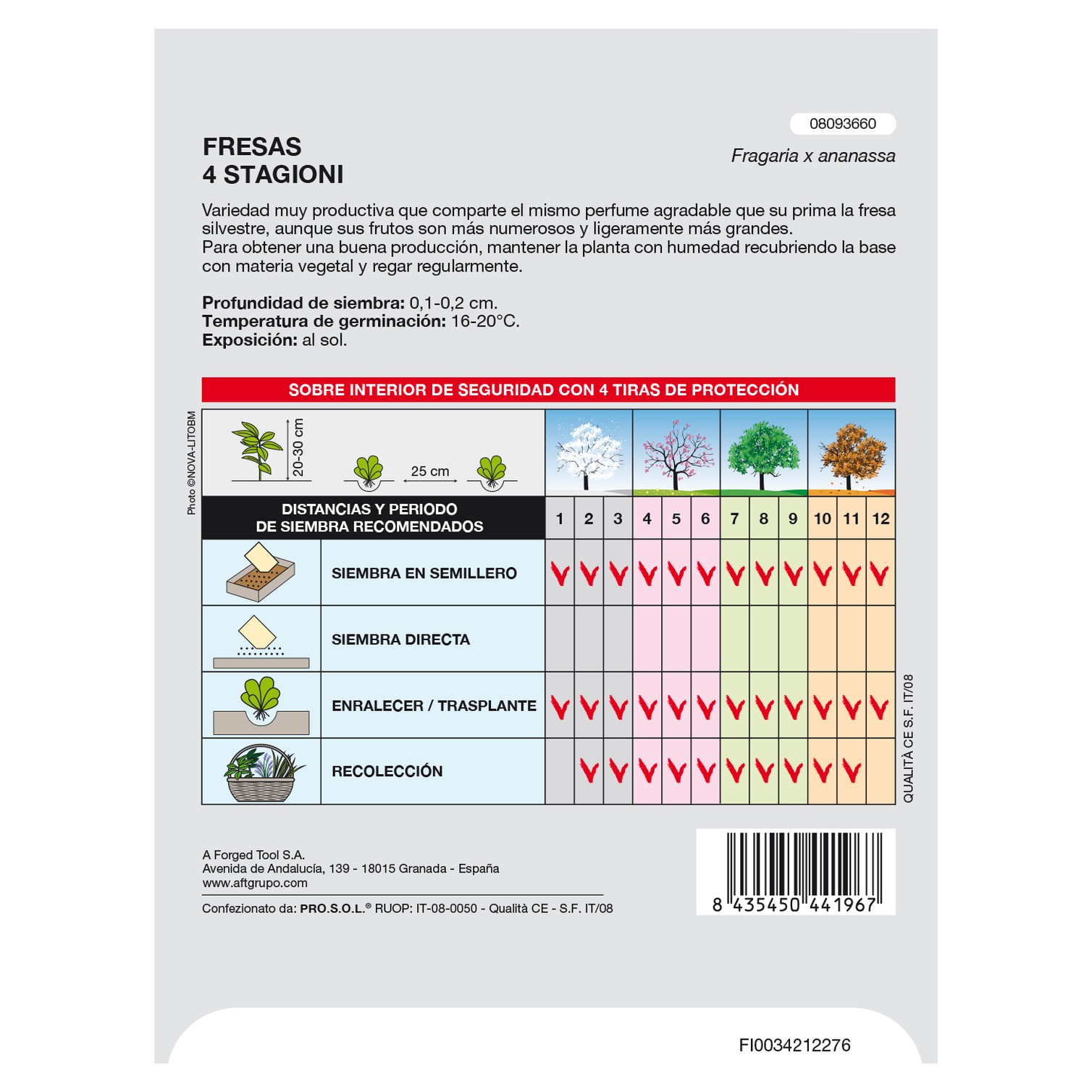 Semillas Huerto Fresas