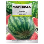 Semillas Huerto Sandia