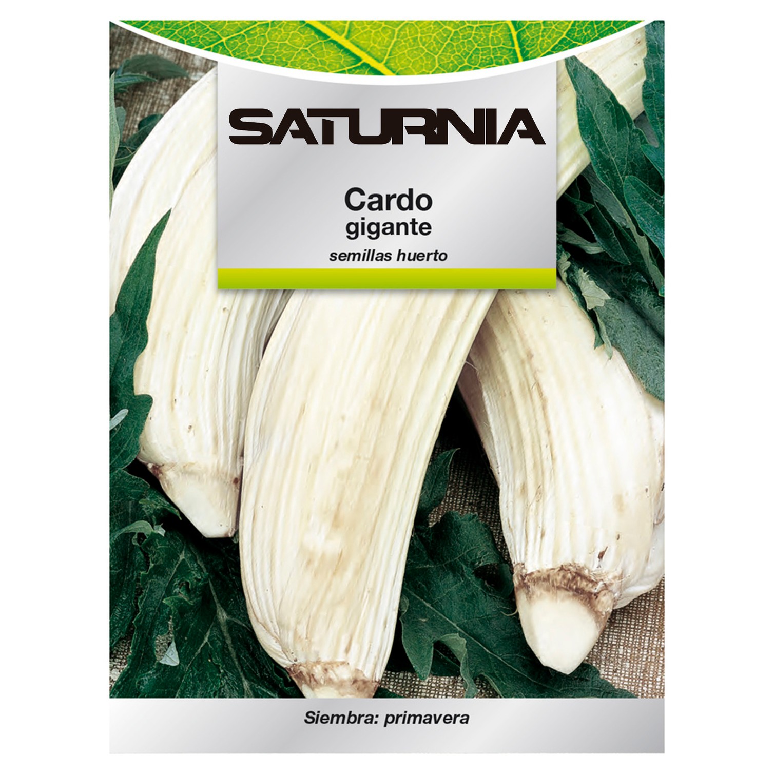 Semillas Huerto Cardo