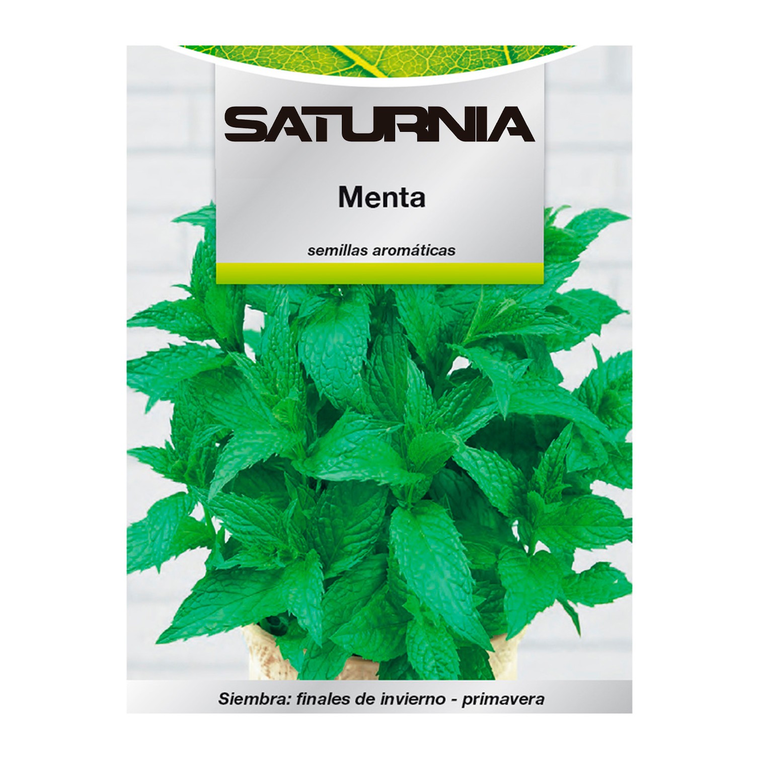Semillas Aromaticas Menta (0.3 gramos) Horticultura, Horticola, Semillas Huerto.