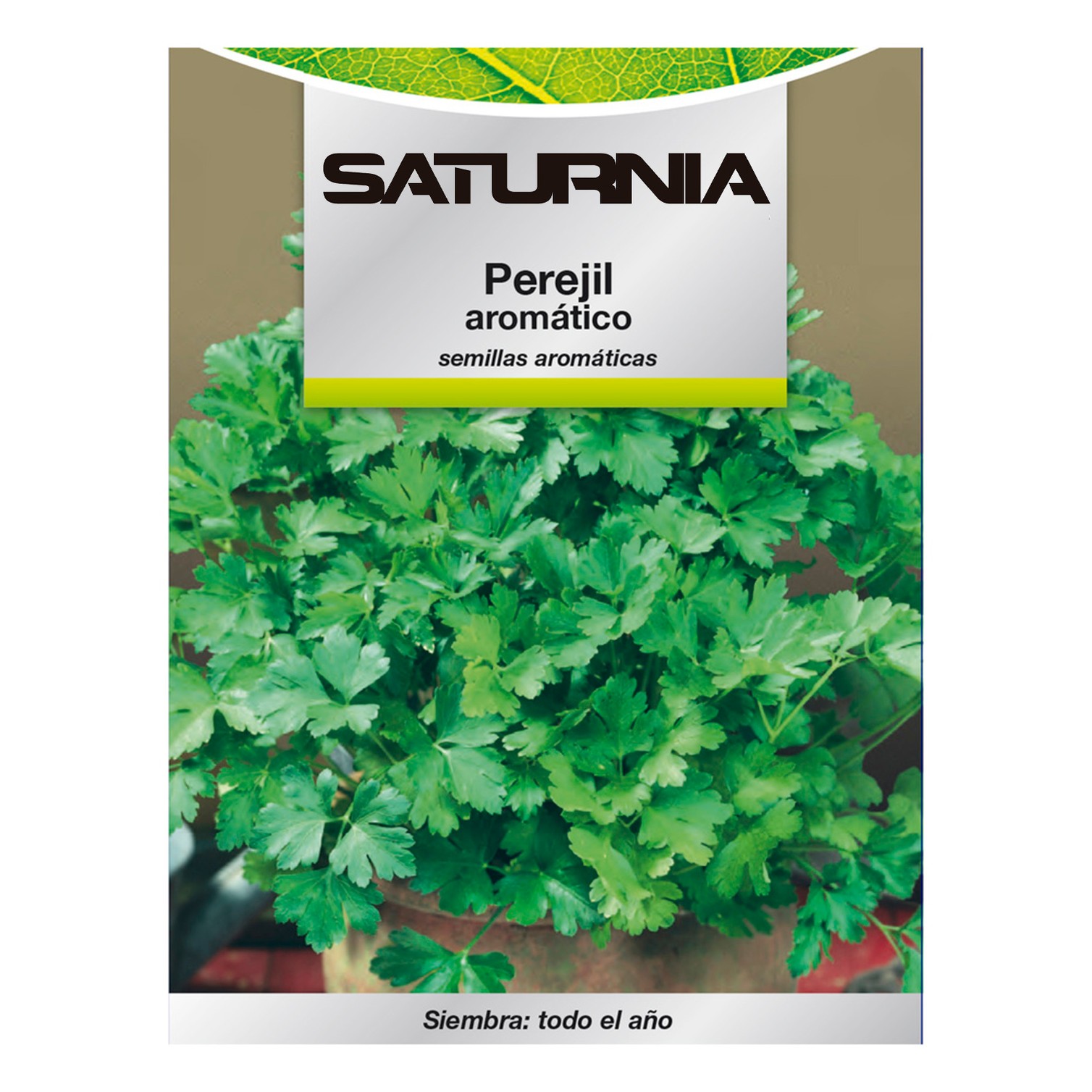 Semillas Aromaticas Perejil Aromatico (8 gramos) Horticultura, Horticola, Semillas Huerto.