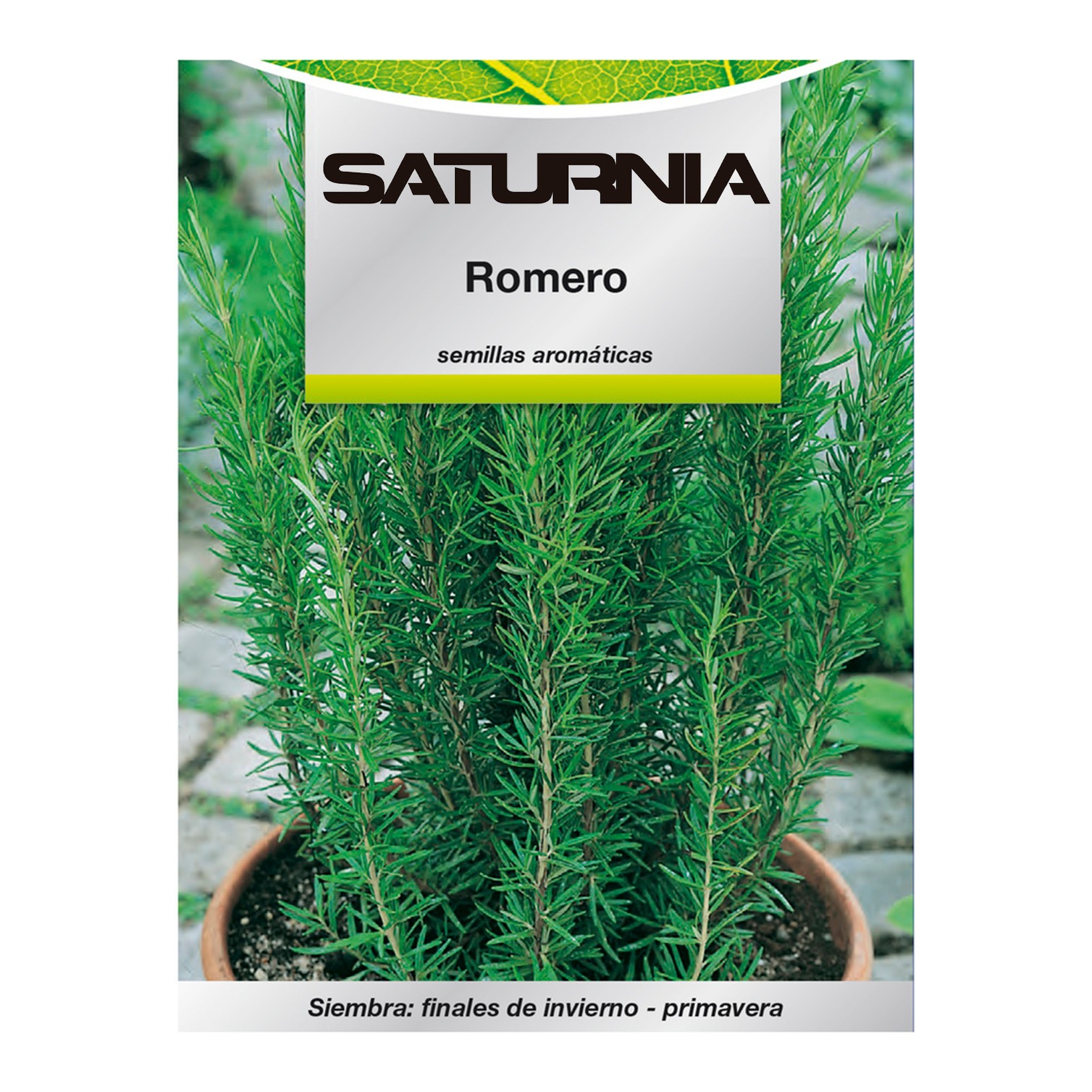 Semillas Aromaticas Romero (0.1 gramos) Horticultura, Horticola, Semillas Huerto.