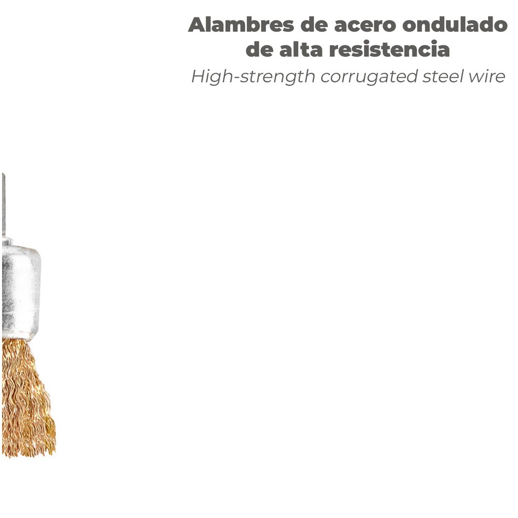 Cepillo Acero latonado Brocha 25 mm. 1/4"