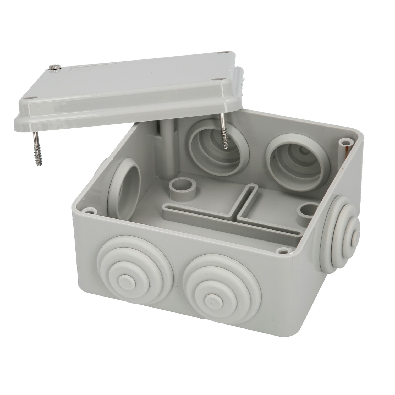 Caja Estanca Superfie Con Tornillos 100 x 100 x 50 mm.