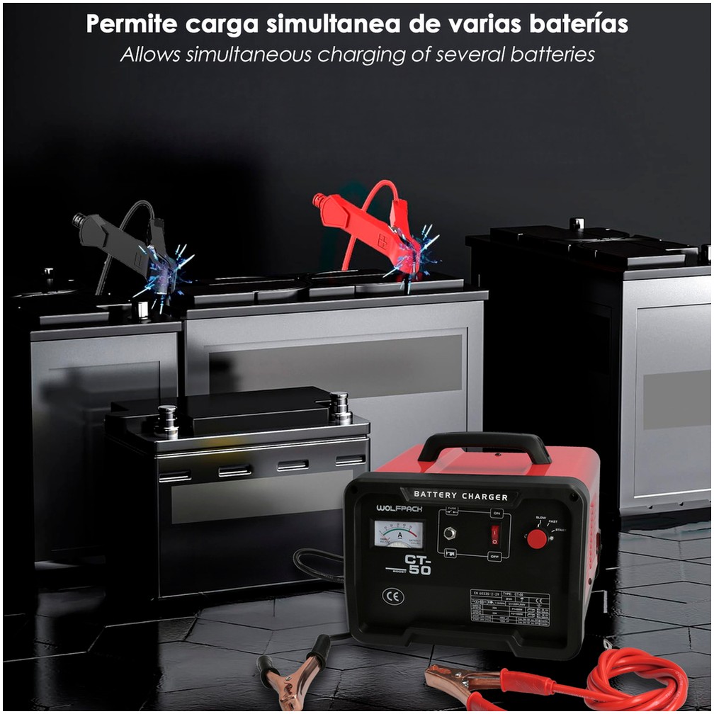 Carga Baterias 12/24V 30-350Ah Con Arrancador