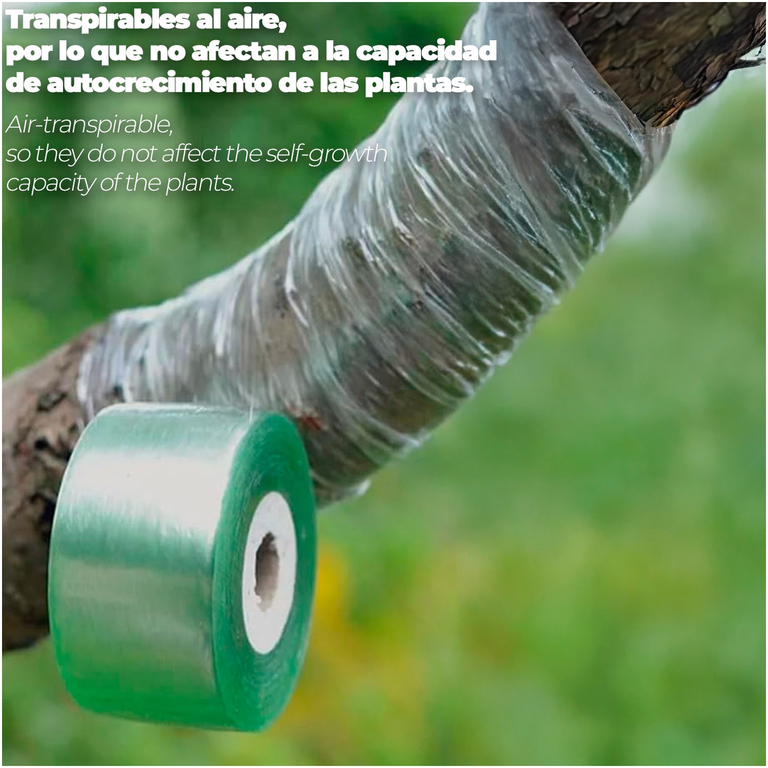 Cinta Injertar Elastica 3 cm. x 100 metros.
