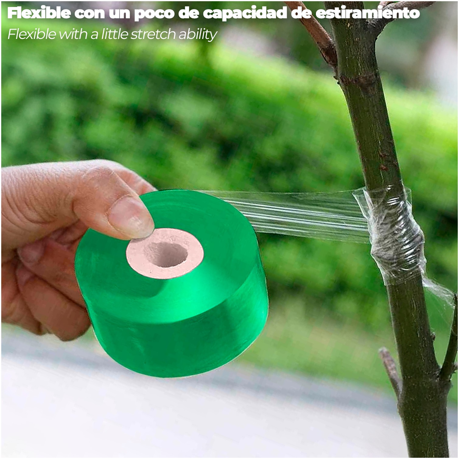 Cinta Injertar Elastica 3 cm. x 100 metros.