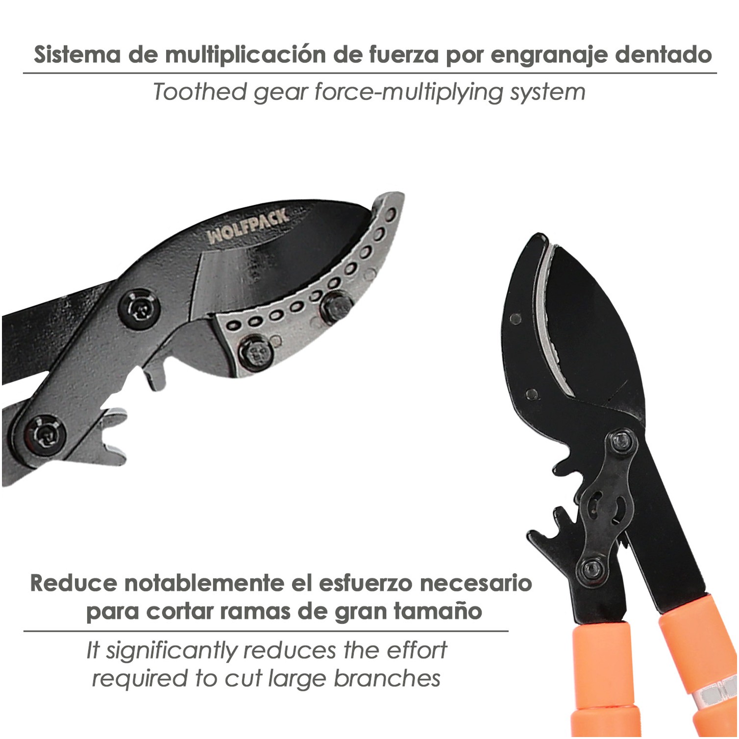 Tijera Podar 2 Manos Sistema Yunque Mangos Telescopicos Aluminio Con Multiplicador De Fuerza